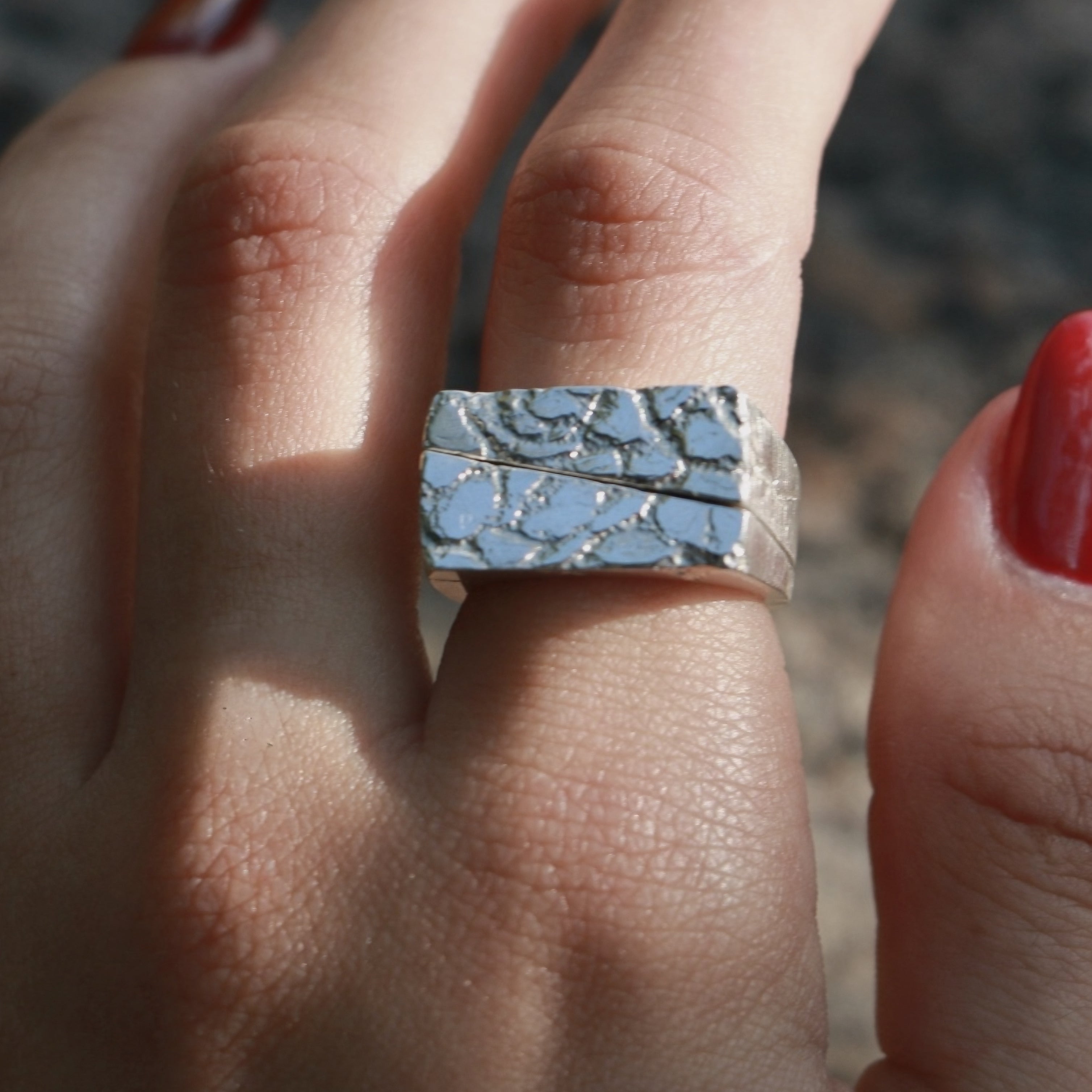 Sever Ring (Bottom Half)