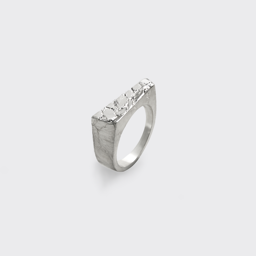 Sever Ring (Bottom Half)