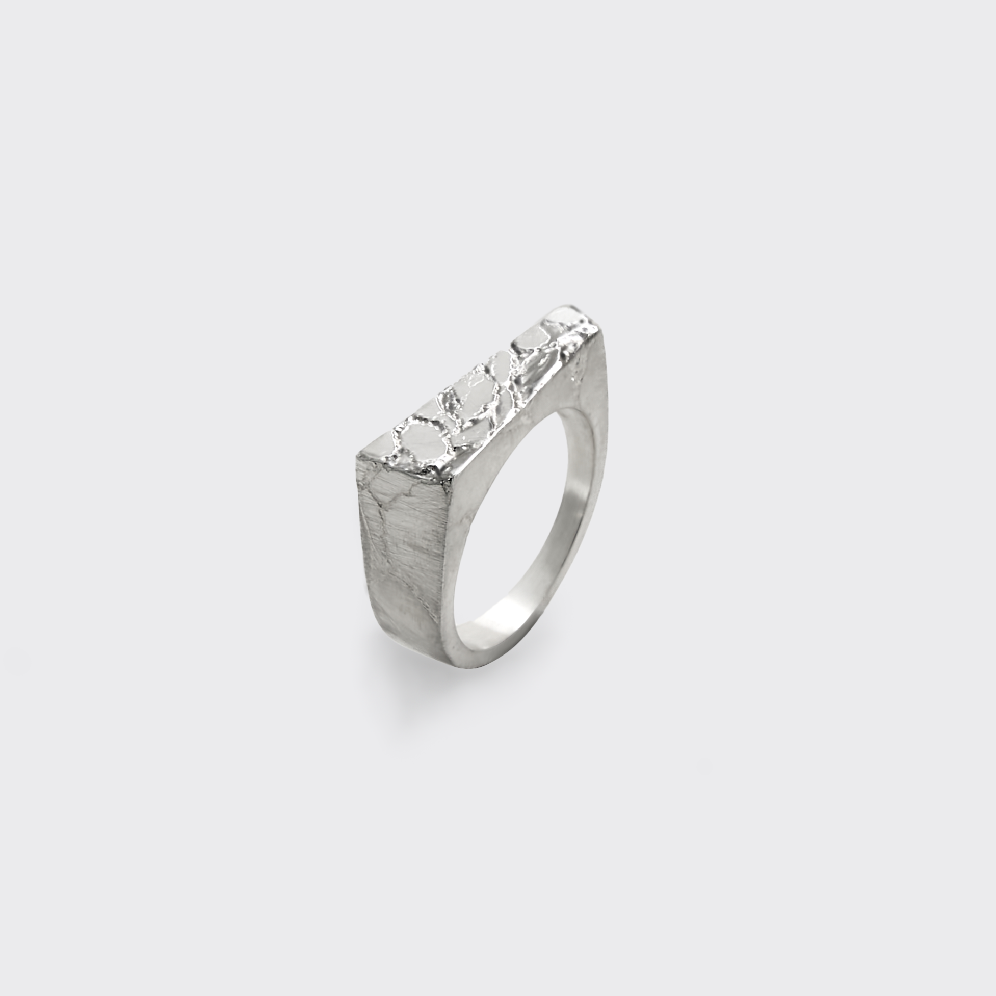 Sever Ring (Bottom Half)