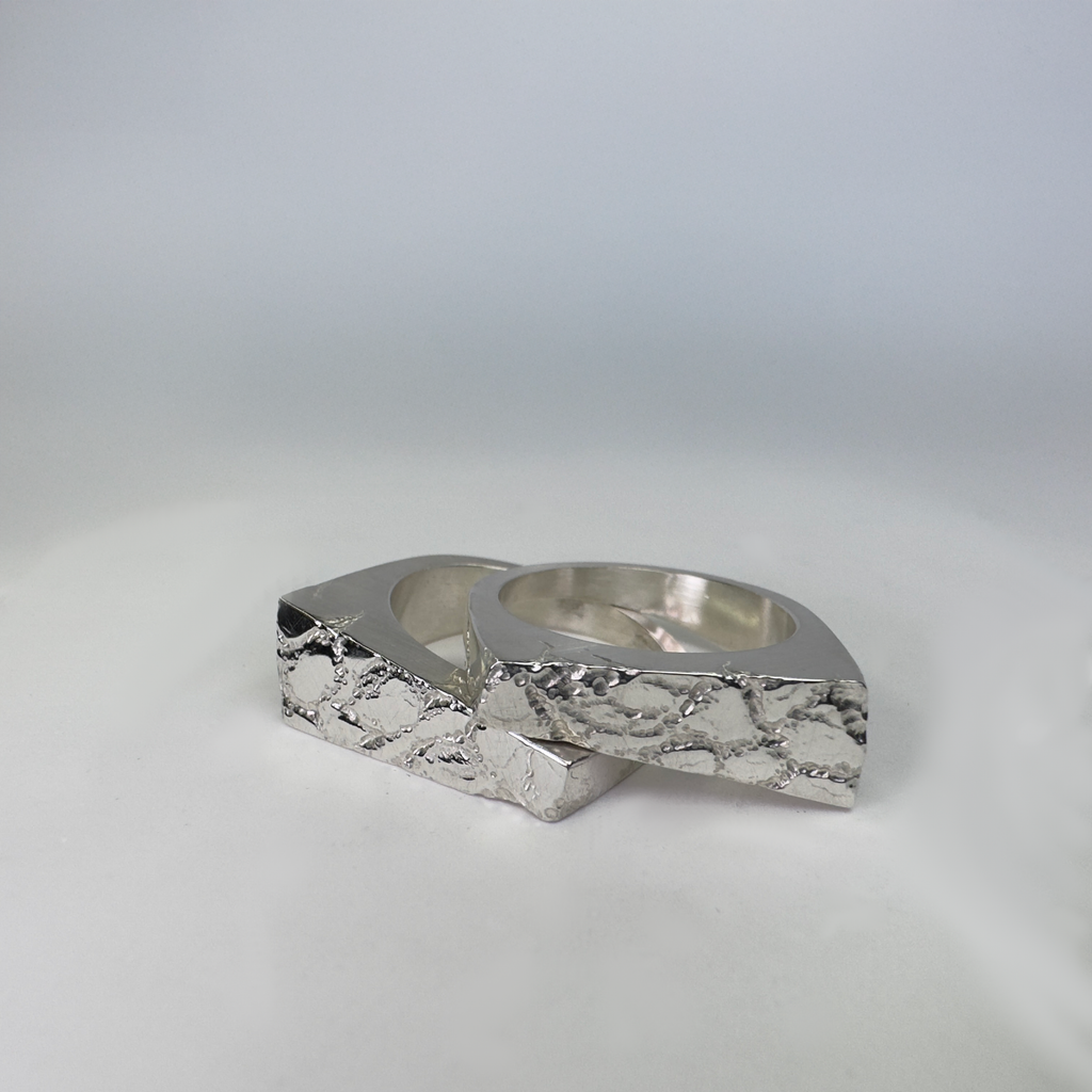Sever Ring (Top Half)