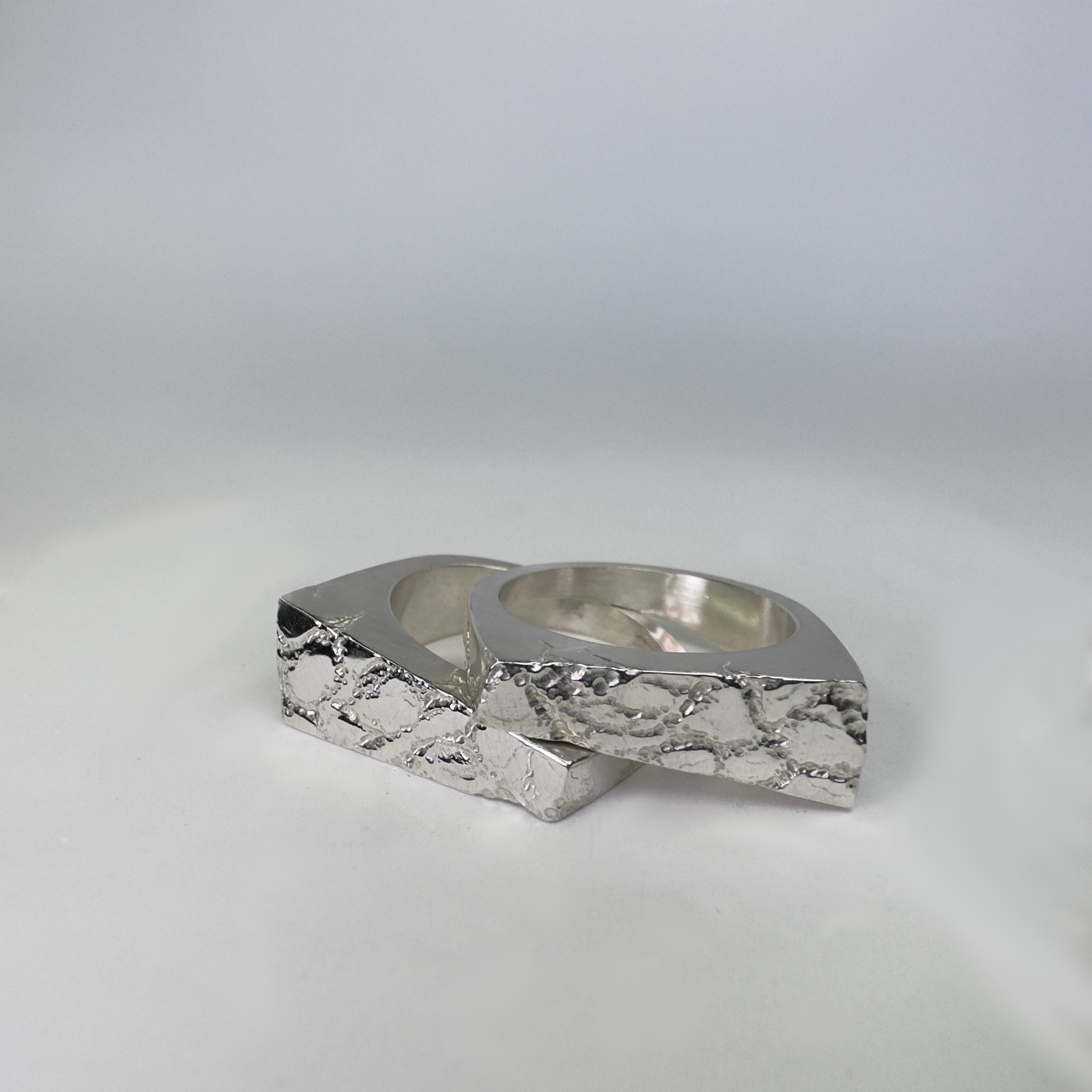 Sever Ring (Top Half)