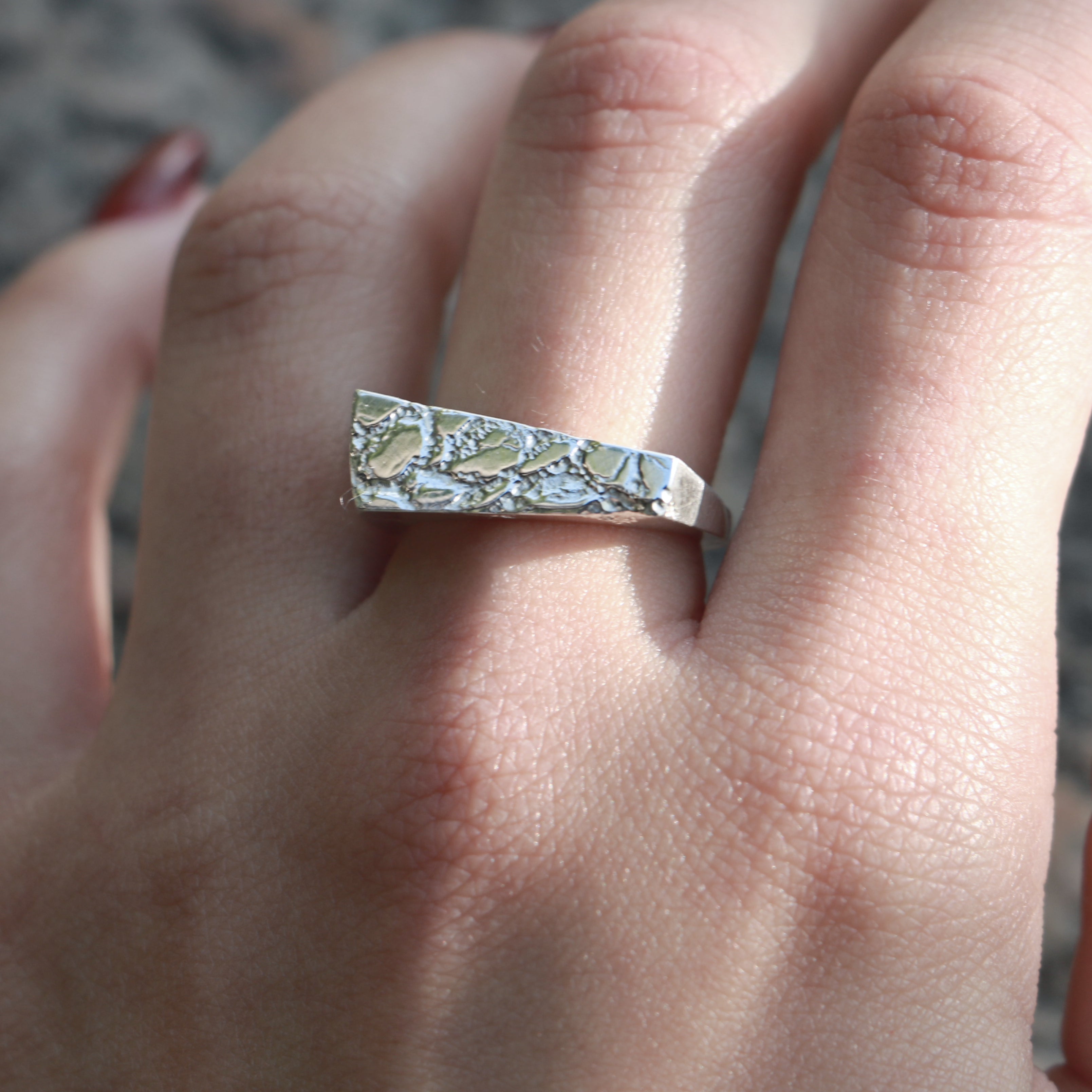 Sever Ring (Bottom Half)
