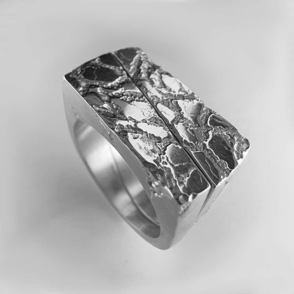 Sever Ring (Bottom Half)